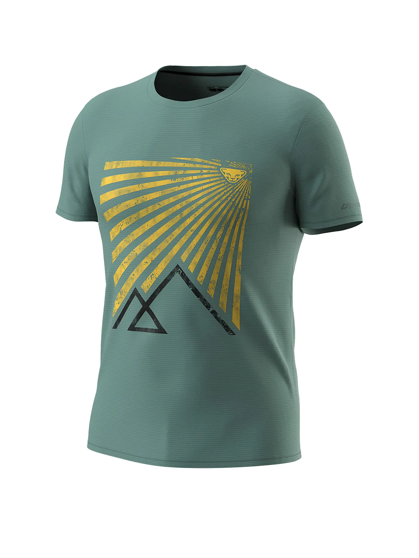 DYNAFIT | Herren Funktionsshirt Transalper Graphic | petrol